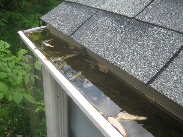 Access Maintenance Provide Gutter Clearing